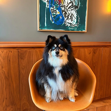 Photo de Monsieur SERGE